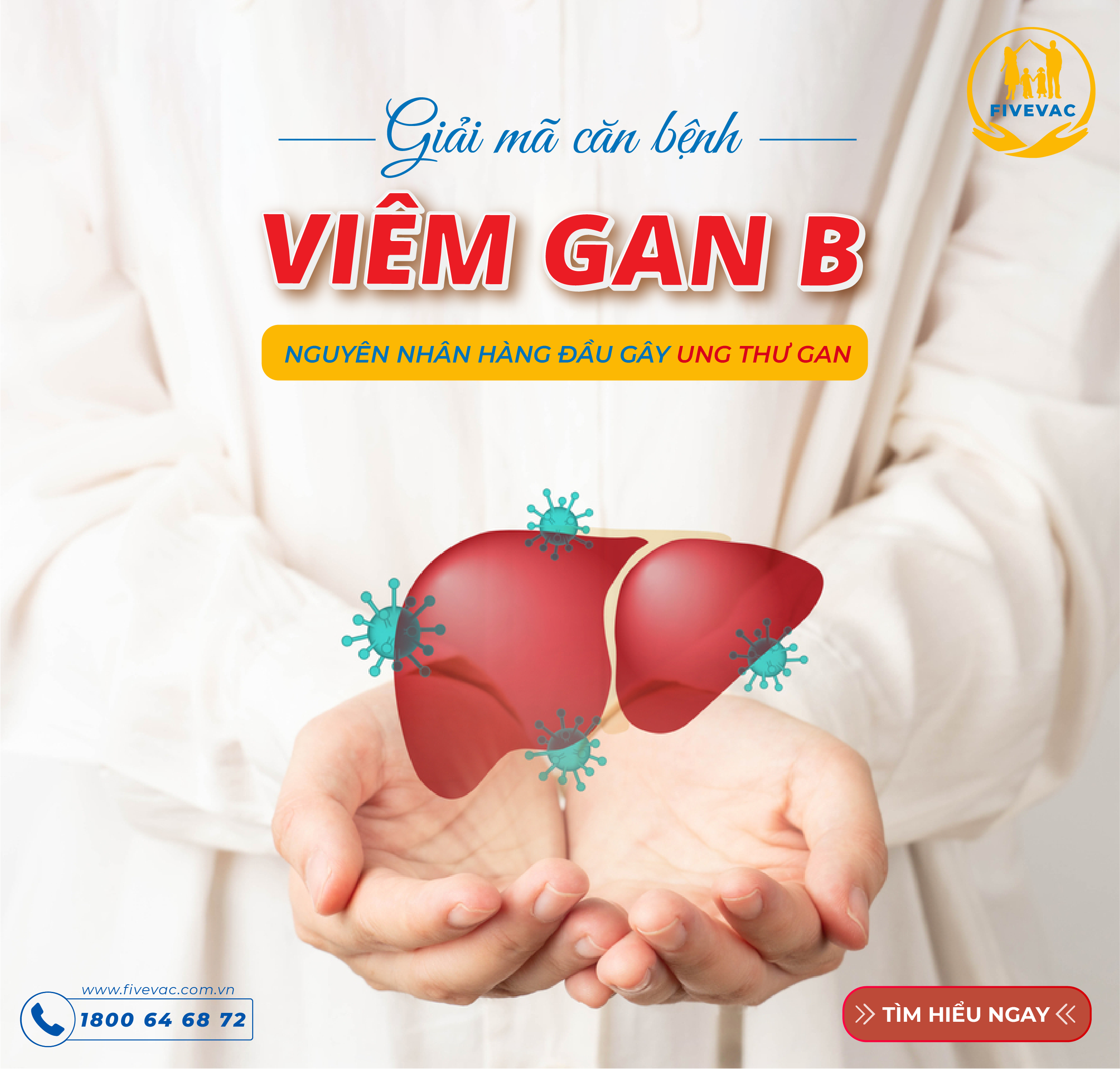 Tổng Hợp Những Điều Cần Biết Về Viêm Gan B