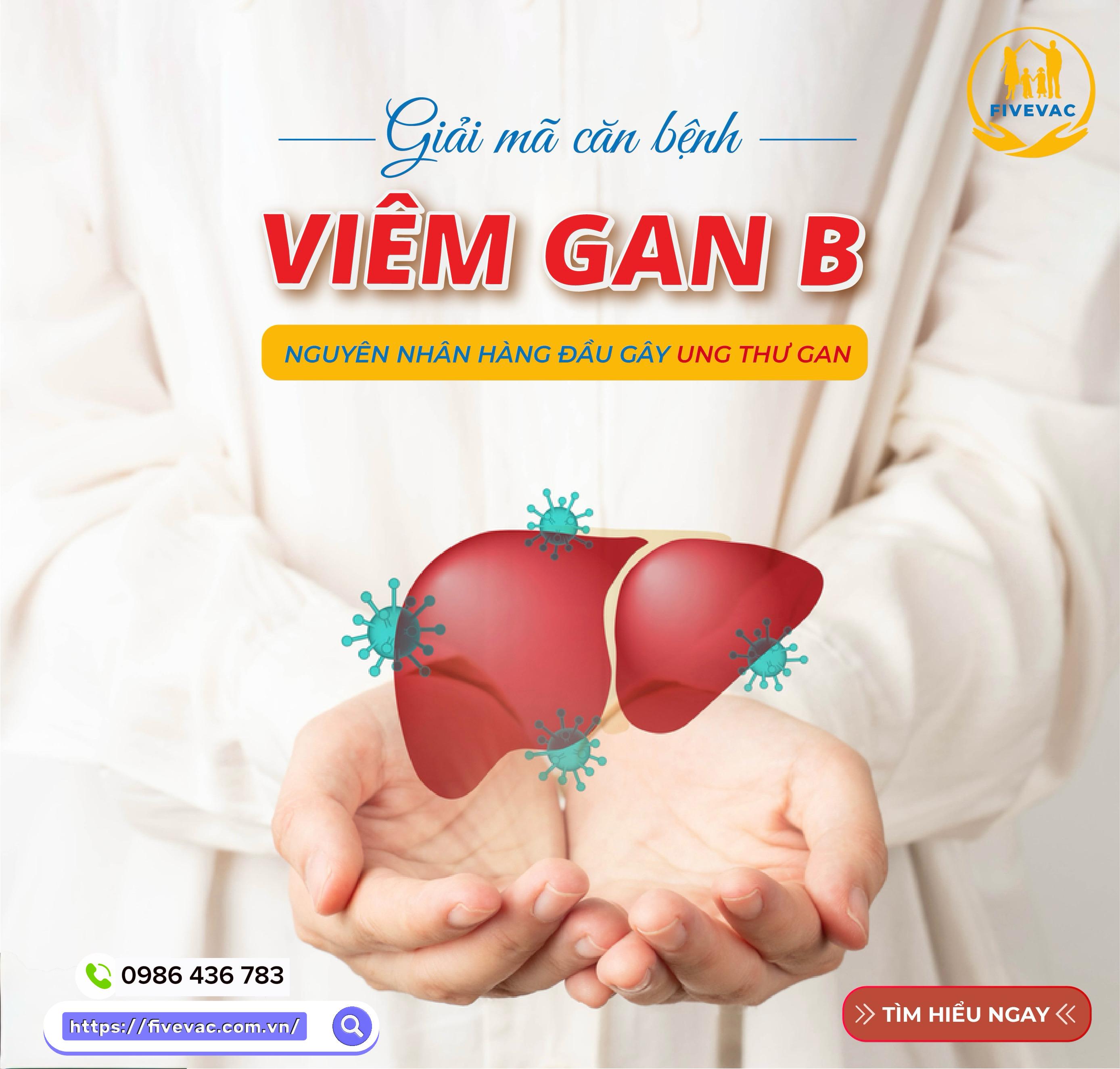 Tổng Hợp Những Điều Cần Biết Về Viêm Gan B