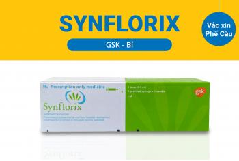 Vắc xin SYNFLORIX (Bỉ) Phòng Bệnh Khế Cầu Xâm Lấn